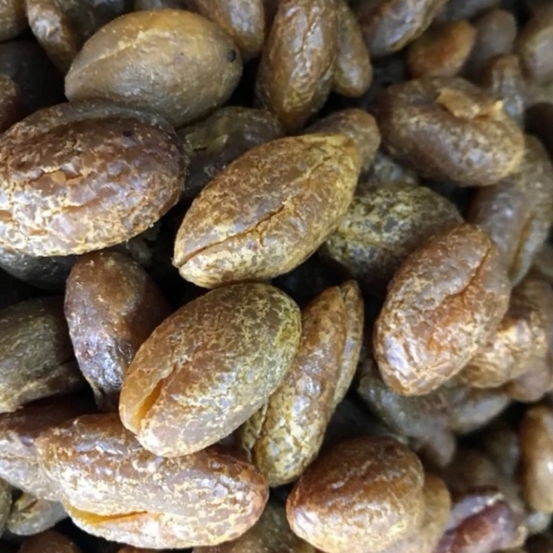 Jual MANISAN BUAH KANA KAMCHO TANPA BIJI BERAT 250GR | Shopee Indonesia