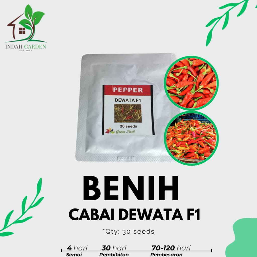 Jual Benih Cabe Cabai Rawit Dewata GP F1 Mini Pack 30 Biji | Shopee ...