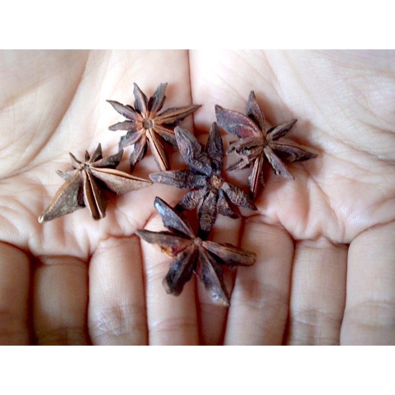 Jual Pekak kering / bunga lawang kering | Shopee Indonesia