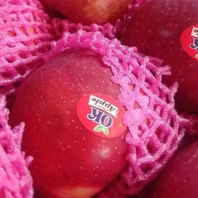 Jual Buah Apel merah / red star 1 kg | Shopee Indonesia