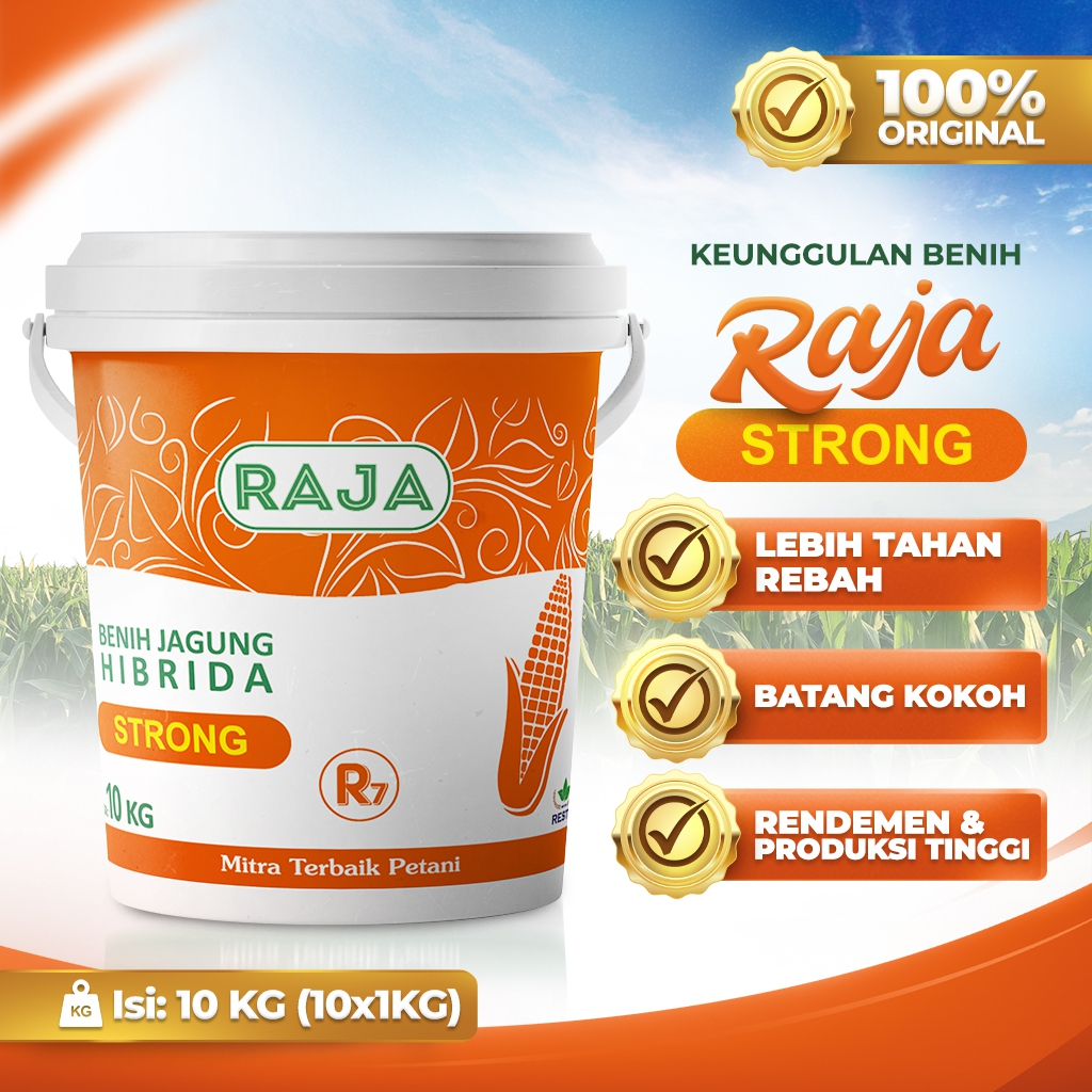 Jual Benih Jagung Raja R7 Strong - 10kg Kemasan Pail/Ember | Shopee ...