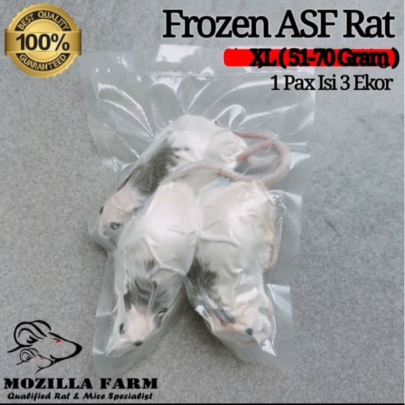 Laboratory Grade Rat Pups For Pets Frozen Rat Pups 20-29g - Pack Of 25 ...