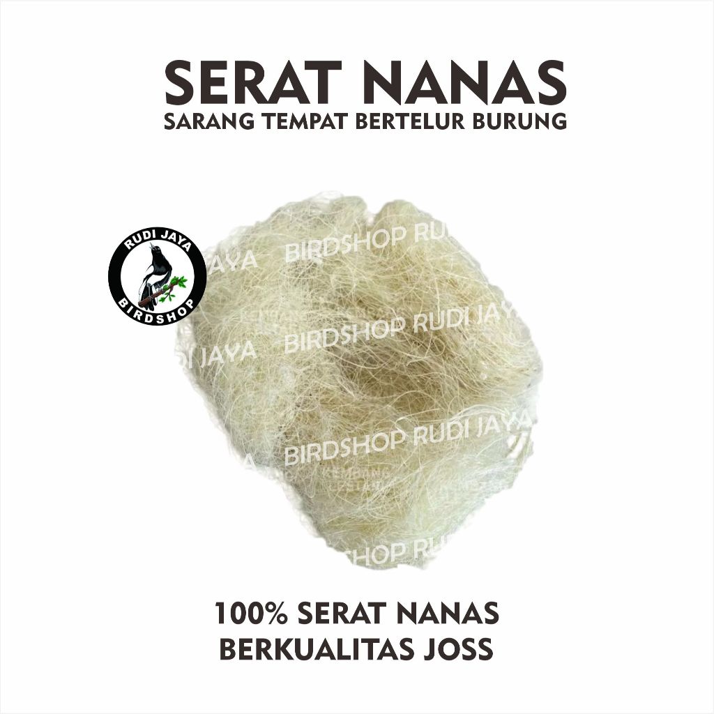 Jual SERAT NANAS 1 PCS SUSUH ALAS TEMPAT BERTELUR TERNAK BURUNG KENARI ...