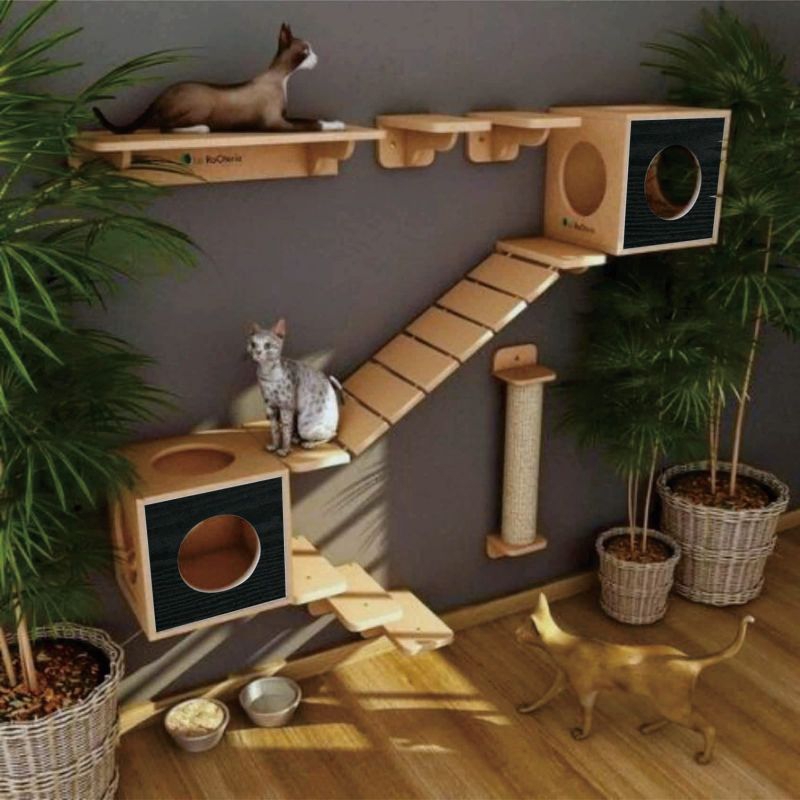 Jual cat condo deals