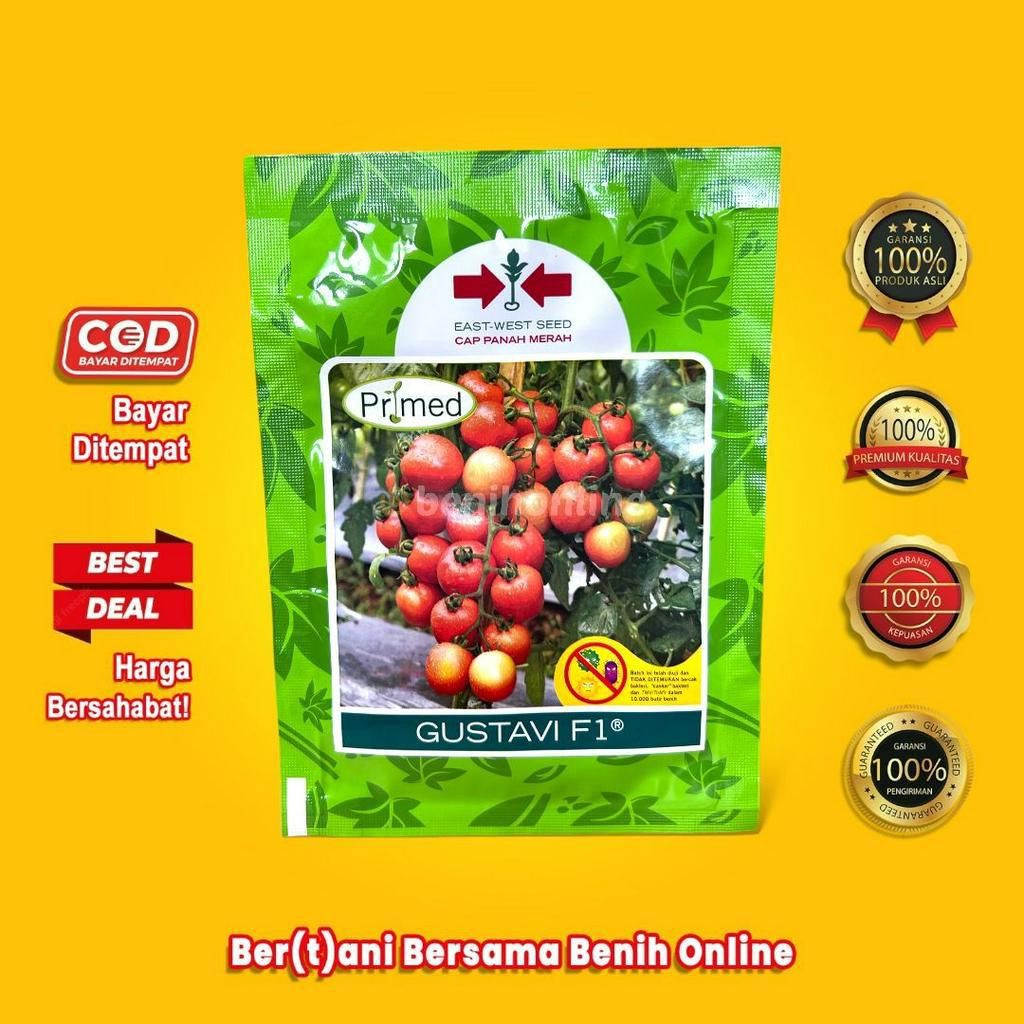 Jual BENIH TOMAT GUSTAVI F1 Regular/Primed 1750 butir Panah Merah ...