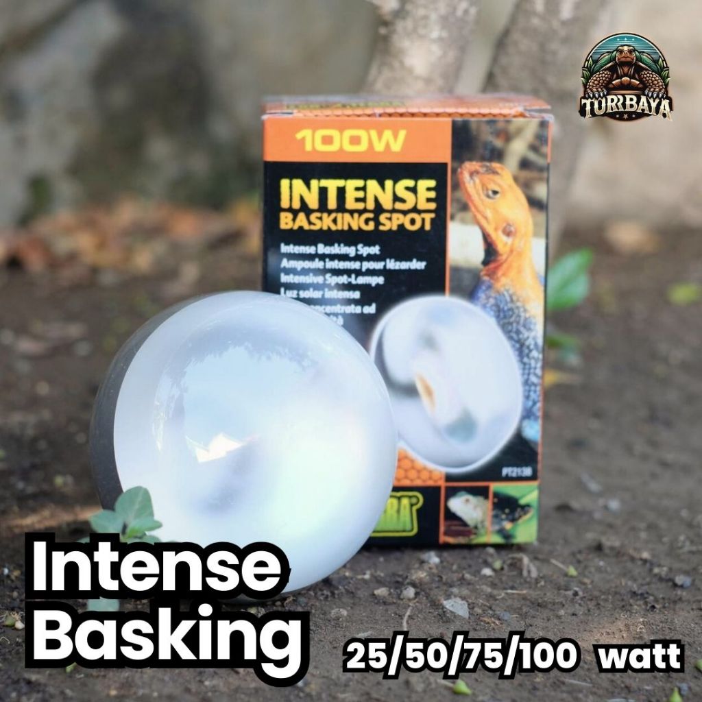 Jual Lampu UVA Intense Basking Spot Lampu Reptile Shopee Indonesia