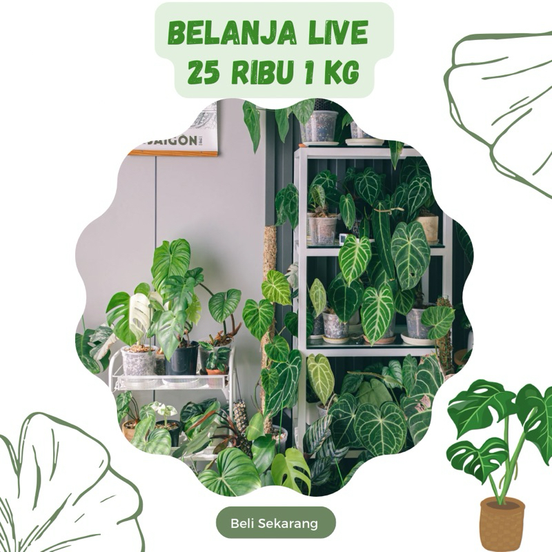 Jual Belanja 25 ribu - 1 kg | Shopee Indonesia