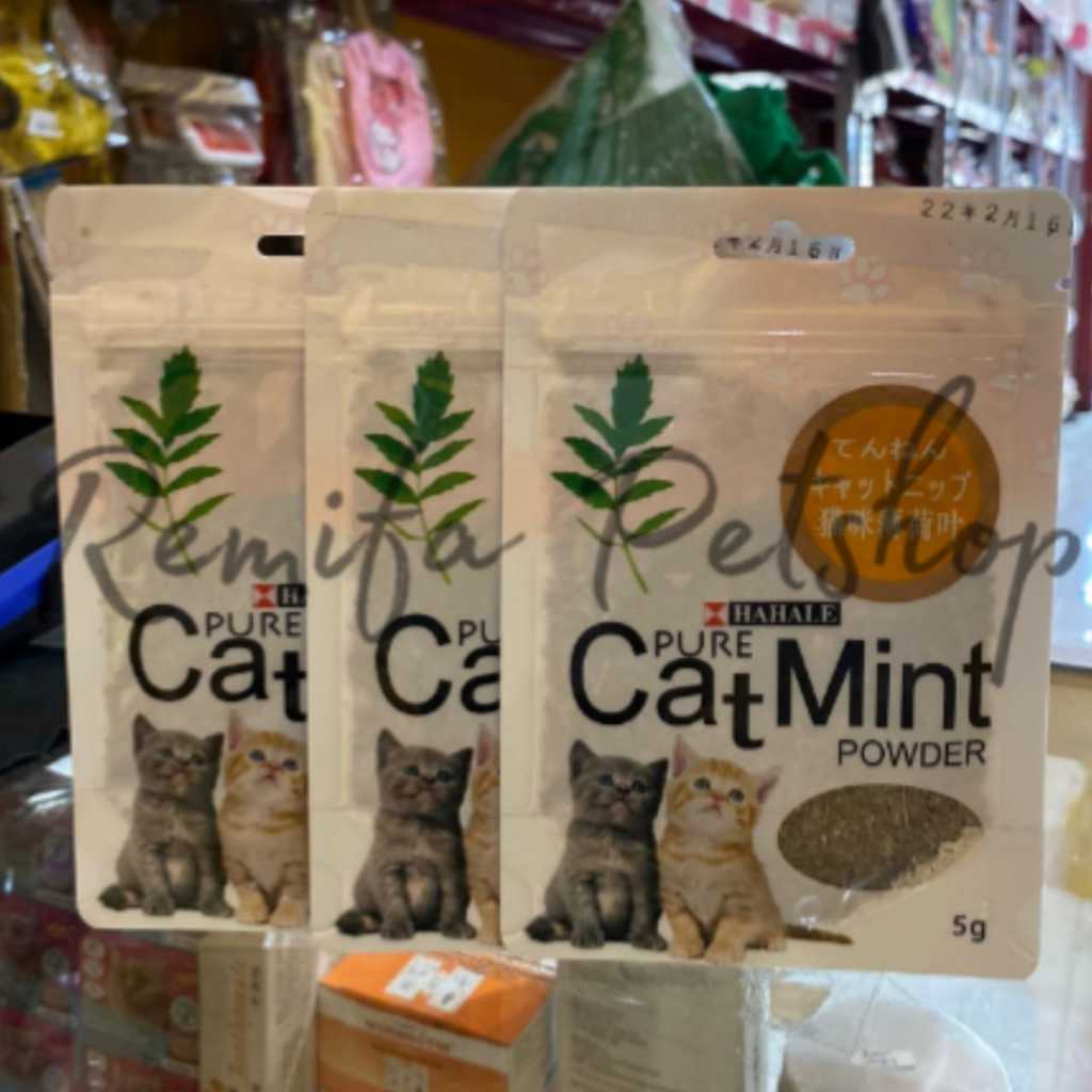 Jual Catnip catmint cat mint - PURE CATMINT POWDER - BIKIN FLY KUCING ...