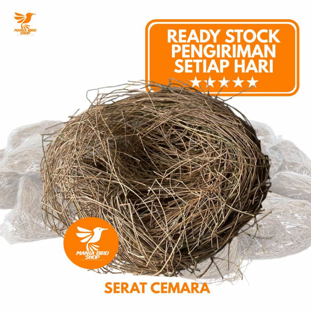 Jual SERAT DAUN CEMARA SUSUH SARANG ALAS TEMPAT BERTELUR TERNAK BURUNG ...