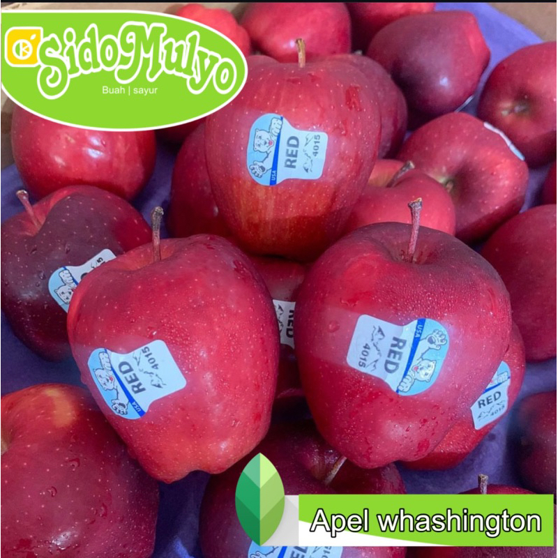 Jual Buah Apel merah whashington fresh manis 1 kg | ud sido mulyo fresh ...