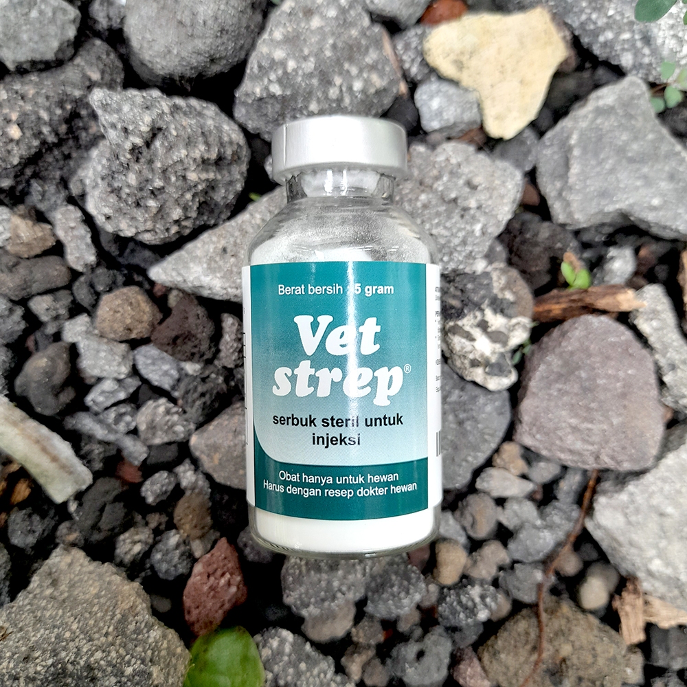 Jual VET STREP SERBUK STERIL UNTUK INJEKSI Botol 5 gram - Obat Suntik ...