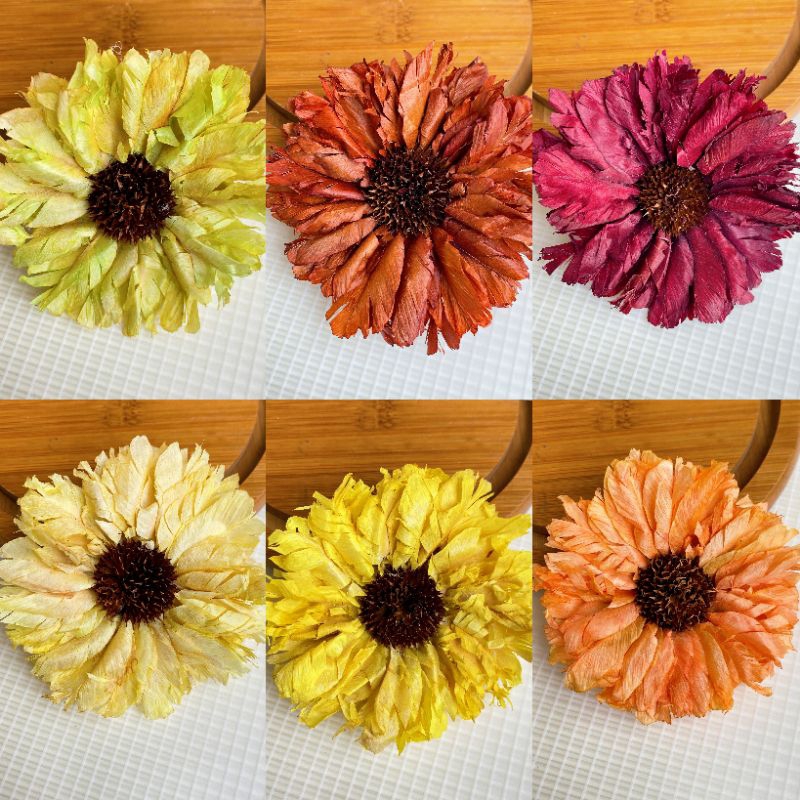 Jual Bunga Sola Wood Anemone 8-9 cm / Bunga Reed Difuser - ECO FRIENDLY ...