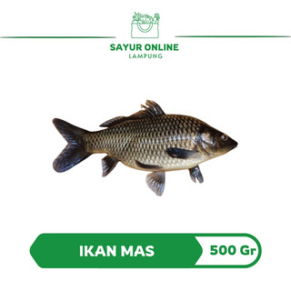 Ikan Mas Segar / Fres 500 gr