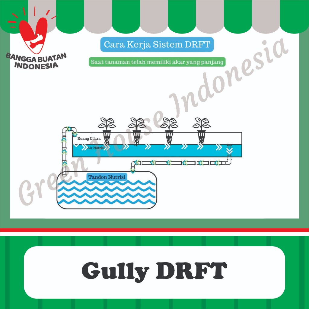 Jual Gully Hidroponik DRFT ( Dynamic Root Floating Technique) - Green ...