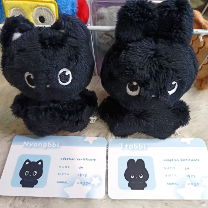 Jual doll wonbin riize nyangbbi 10cm | Shopee Indonesia