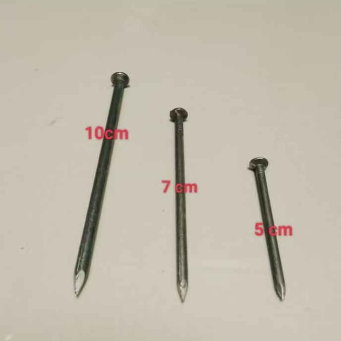 PAKU RAJA 4"/10CM
