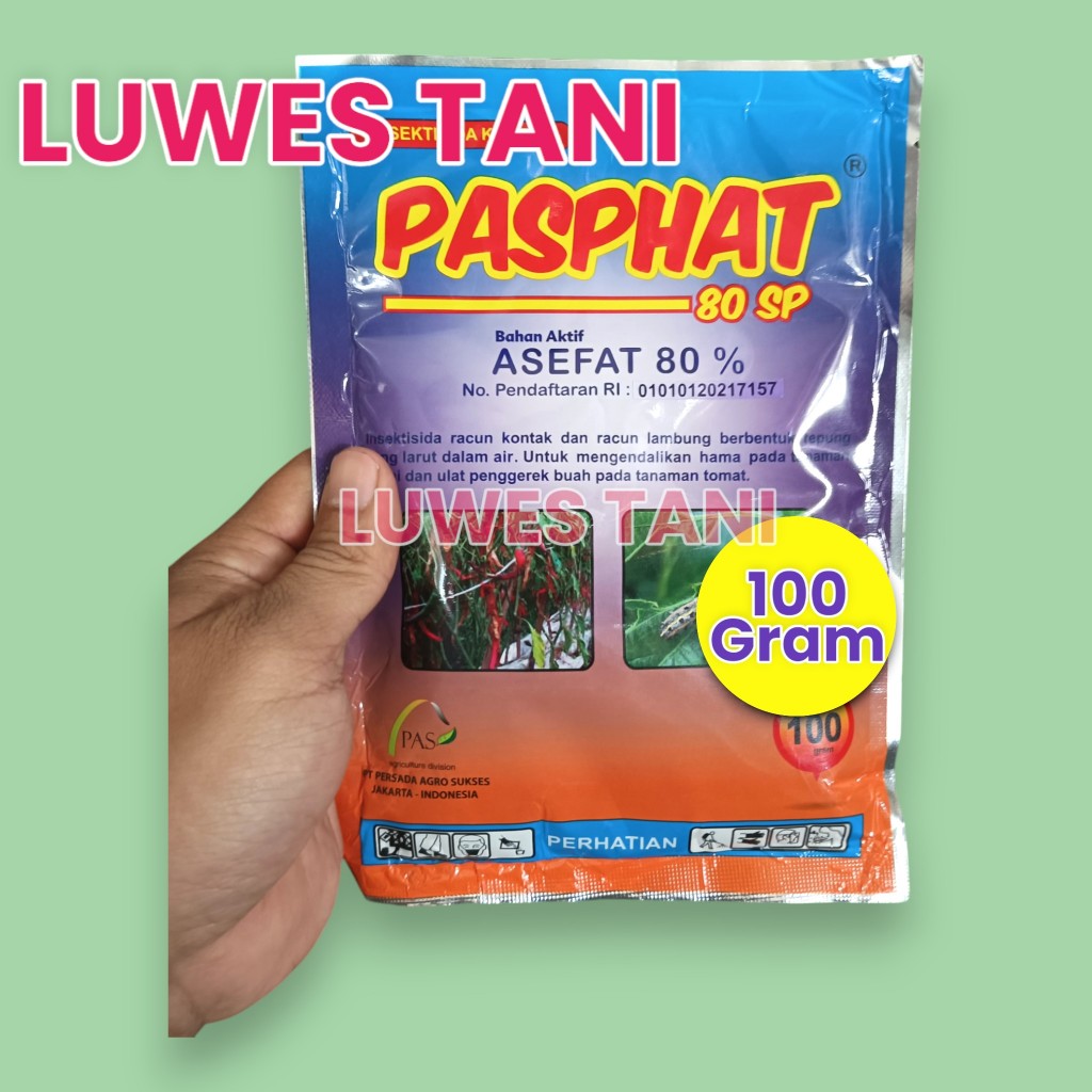 Jual PASPHAT 80WP 100GR bahan aktif asefat 80% | Shopee Indonesia