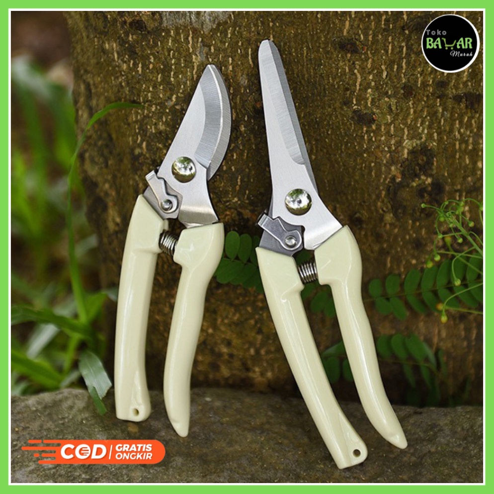 Jual NEW Gunting Dahan Ranting Pohon Gunting Dahan Gunting Tanaman ...