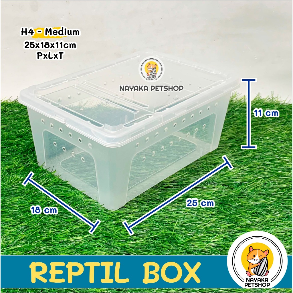Jual Reptil Box H4 Large Kandang Kura Kura Brazil Sarang Hewan Wadah ...