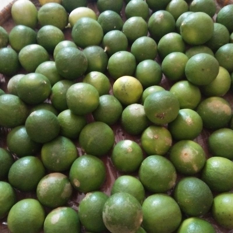 Jual Jeruk Nipis Segar Organik 250 gram | Shopee Indonesia