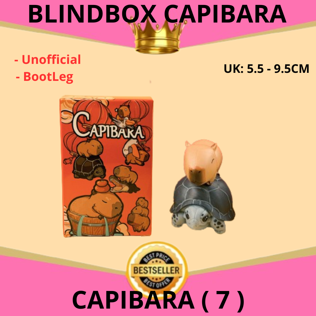 Jual BLIND BOX ANIMEE CAPIBARA CHARACTER ACTION FIGURE ANIME CAPI BARA ...