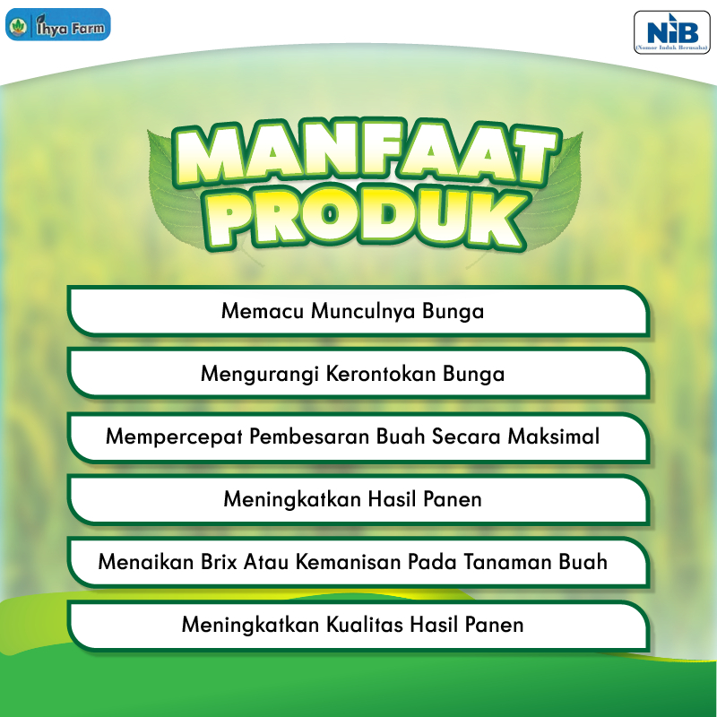 Jual BAKT 3 BOTOL POC BIOGANIK VEGETATIF TINGKATKAN KESEHATAN TANAMAN ...
