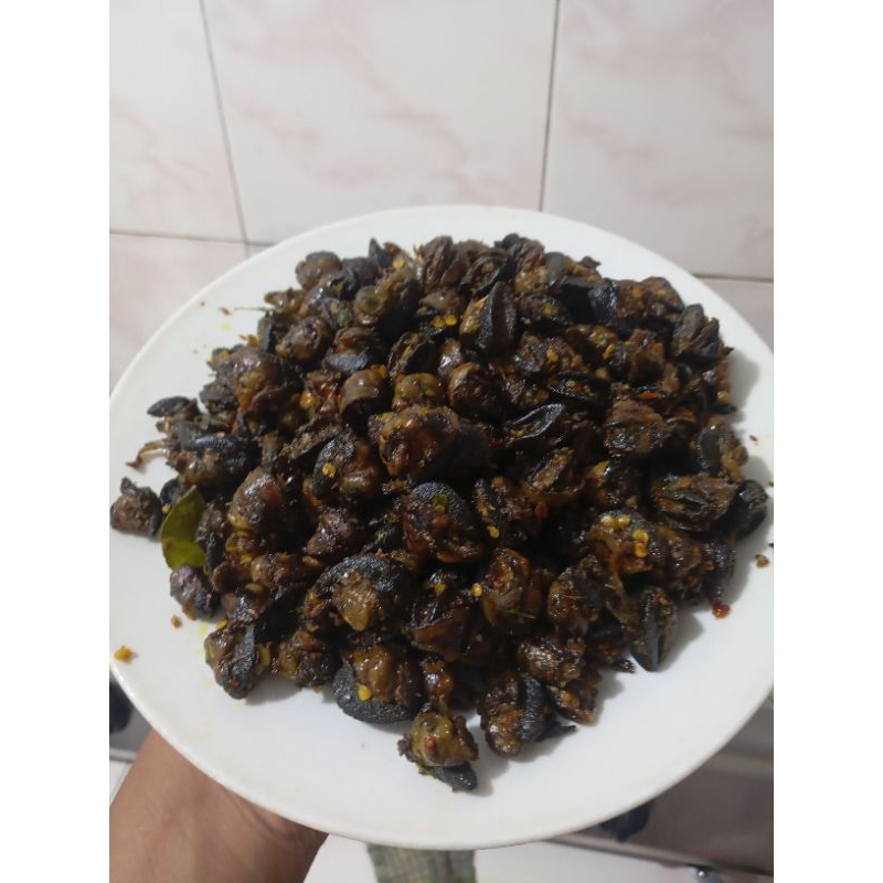 Jual RICA RICA BEKICOT / 02 BERAT 1 Kg | Shopee Indonesia