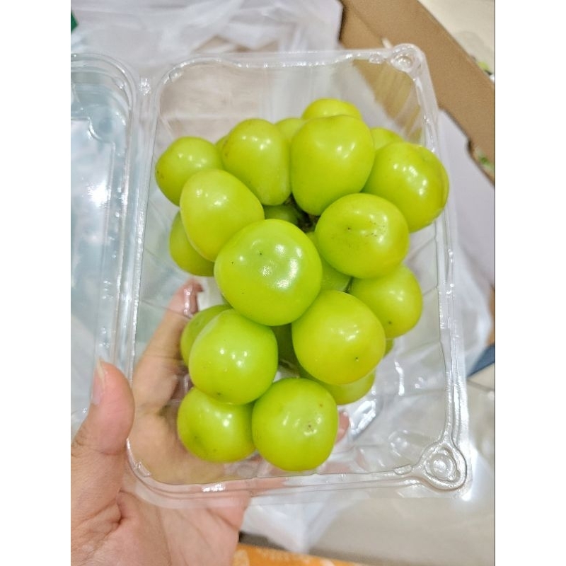 Jual Shine Muscat Grape Manis Anggur Muscat | Shopee Indonesia