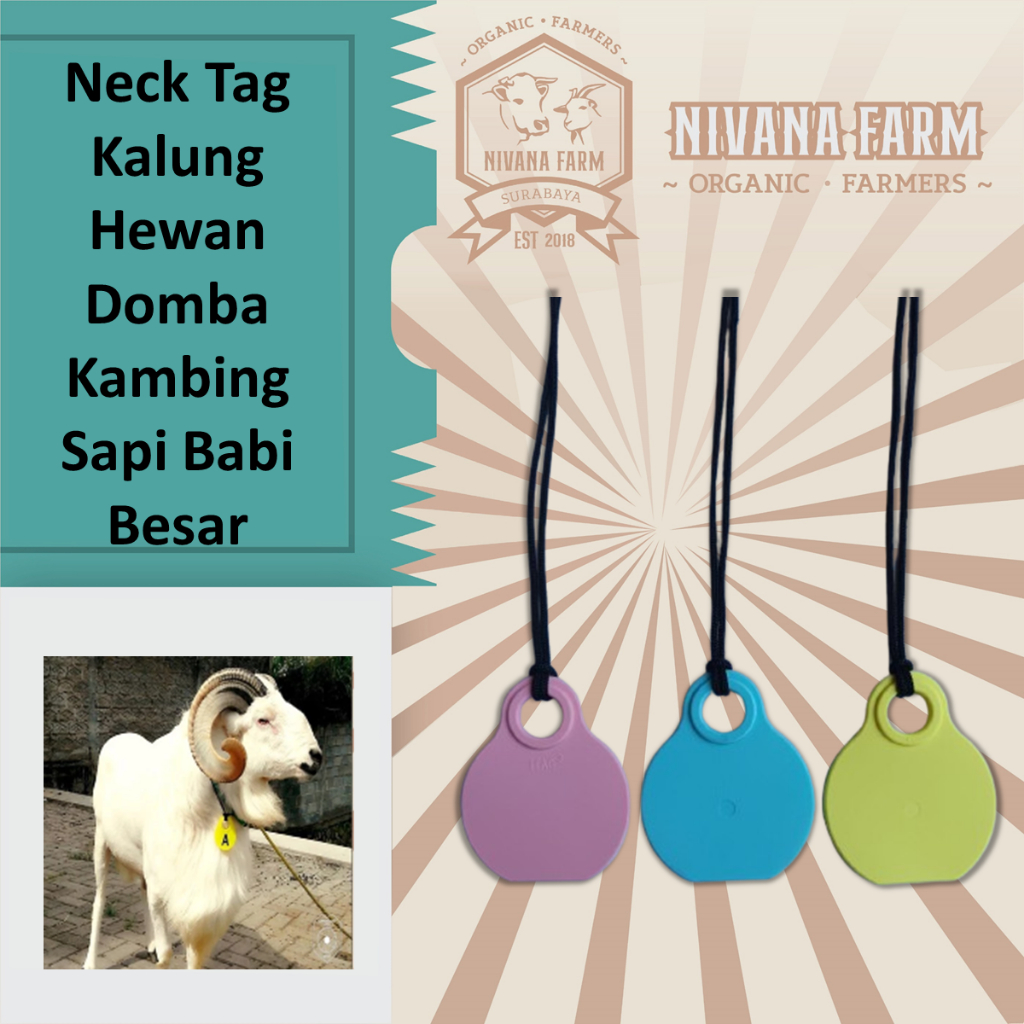 Jual Neck Tag Kalung Hewan Domba Kambing Sapi Babi Besar | Shopee Indonesia