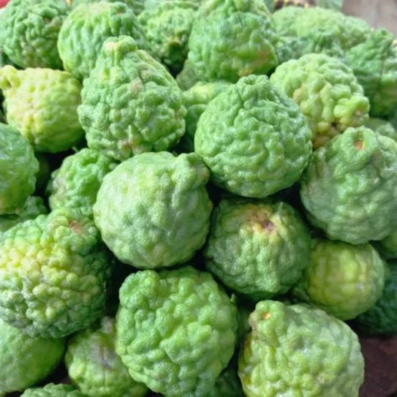 Jual jeruk purut 1kg / jeruk purut Segar / herbal / buah / bumbu dapur ...