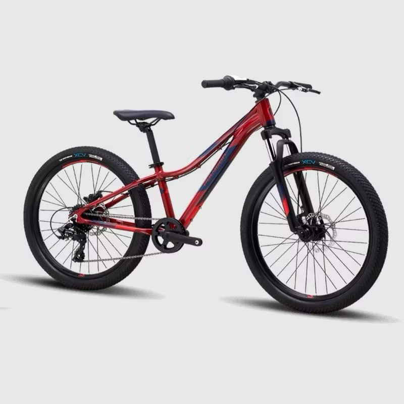Jual Sepeda MTB Polygon relic ukuran 24 inch | Shopee Indonesia