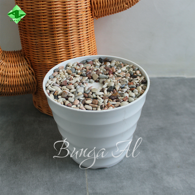 Jual Pot king mado 22 media busa batu pancawarna hiasan dekorasi ruang ...