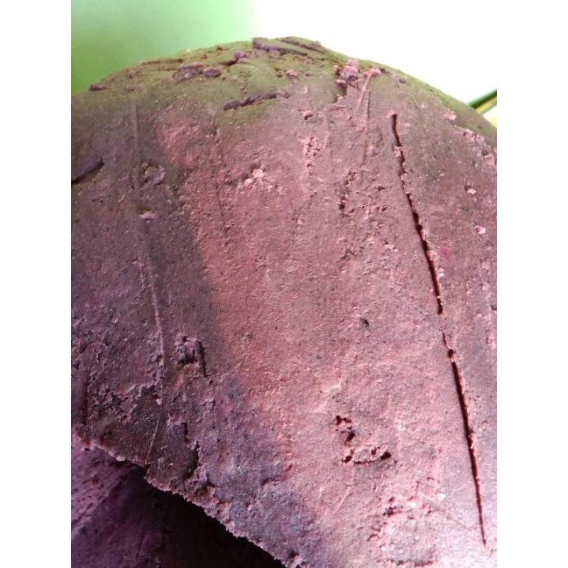 Jual terasi calok asli wang tobo cengal-selapan | Shopee Indonesia