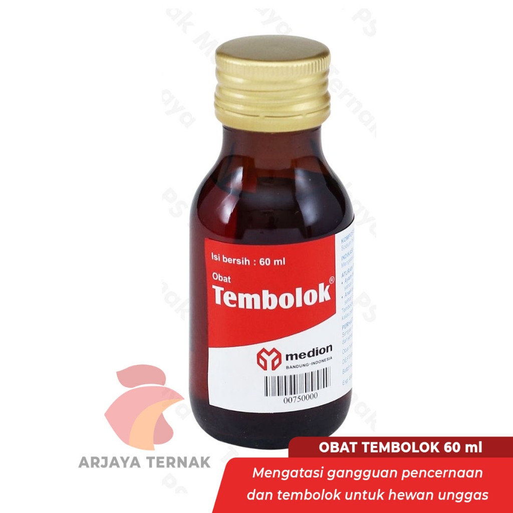 Jual Tembolok Terlengkap & Harga Terbaru Juli 2026 | Shopee Indonesia