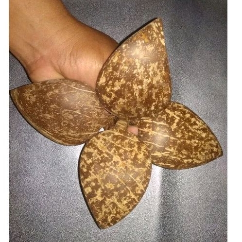 DAUN DARI BATOK KELAPA 5 BIJI.BAHAN KERAJINAN TANGAN FINISHING NATURAL