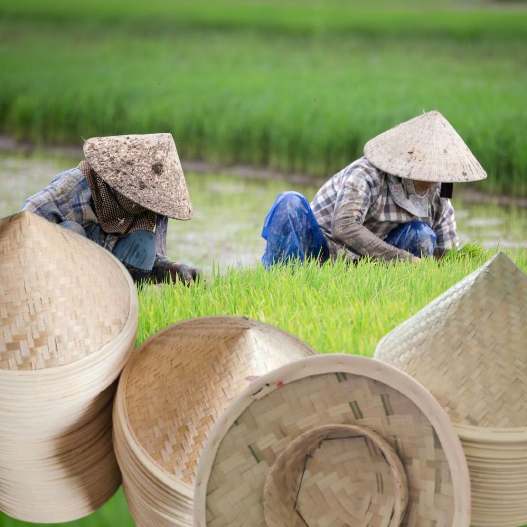 Jual Caping Bambu Tradisional / Topi Bambu Petani / Tudung Tani ...