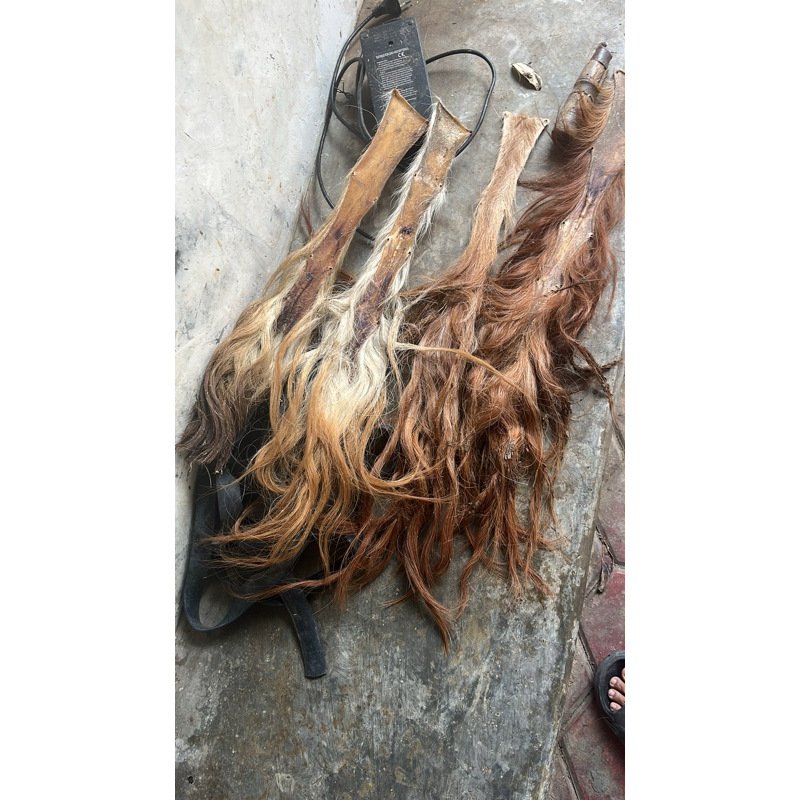 Jual Bulu/rambut ekor sapi kering warna sesuai yang redy | Shopee Indonesia
