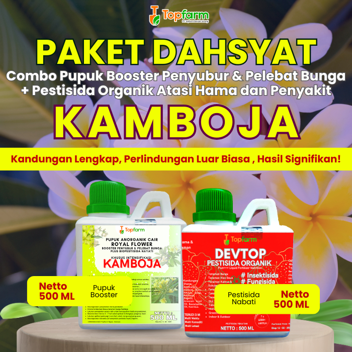 Pupuk Topfarm / Pestisida Topfarm / Pupuk Untuk Bunga Kamboja / Pupuk Bunga Kamboja / Pupuk Dan Obat Hama Bunga Kamboja / Pupuk Bunga Kamboja Japan / Pupuk Tanaman Bunga Kamboja / Pupuk Kusus Bunga Kamboja