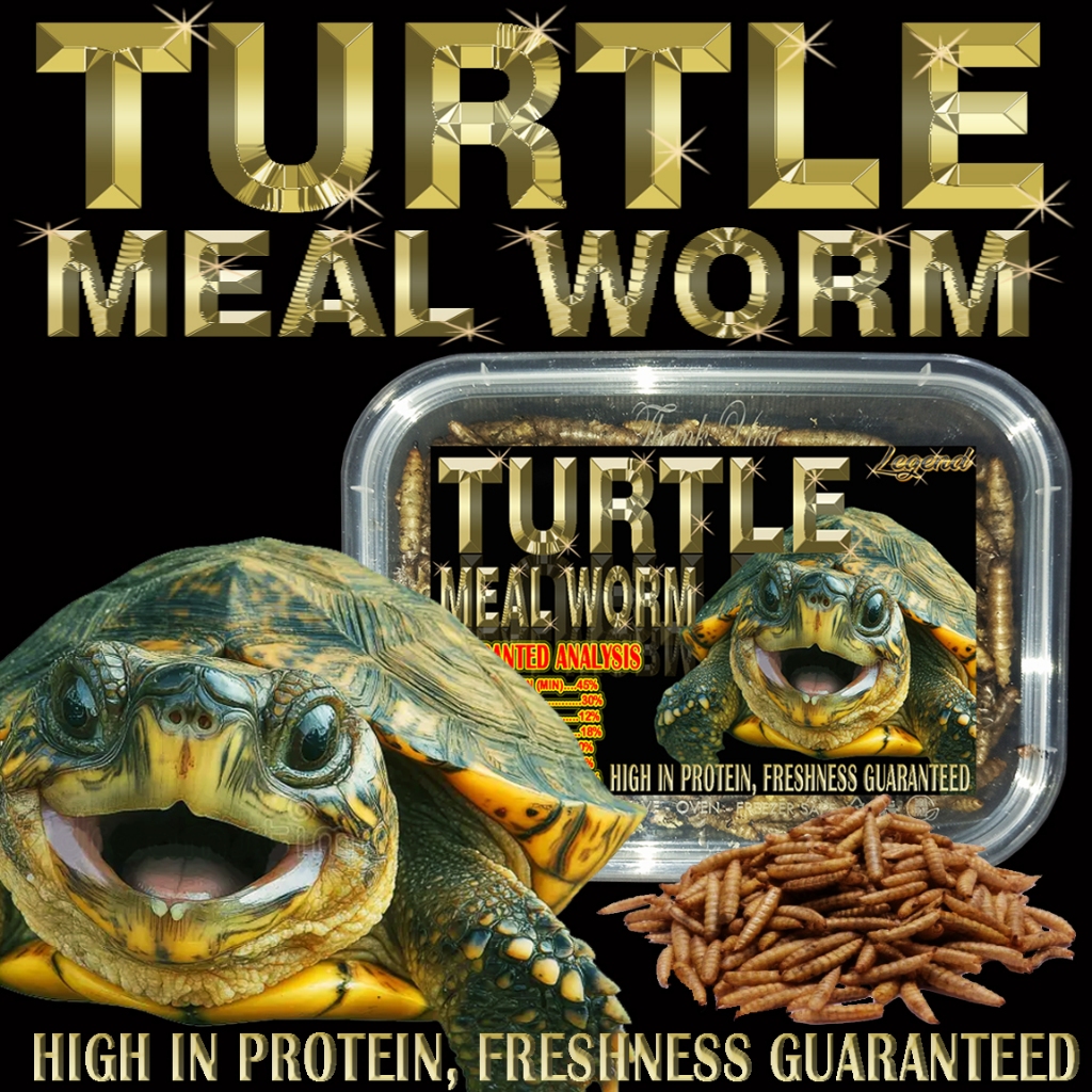 Jual 40GR TURTLE MEAL WORM MAKANAN KURA-KURA AIR PAKAN KURA BRAZIL RES ...