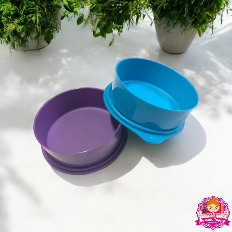 Jual Wadah Tempat Makanan Kue Bekal Large Deep Bowl Tupperware Tuppy ...