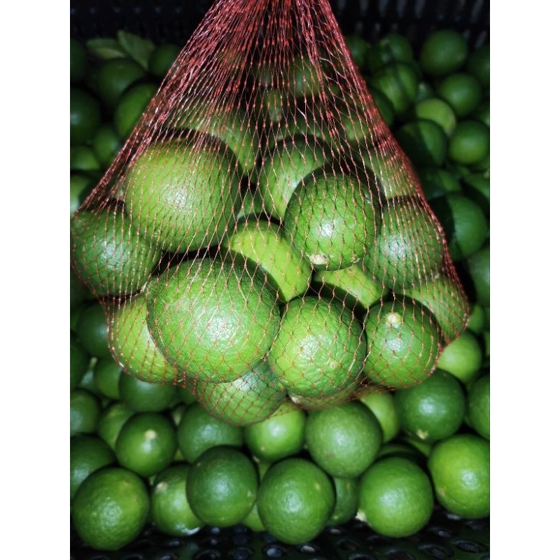 Jual jeruk nipis murah 1kg (ukuran RANDOM) langsung petik dari kebun ...