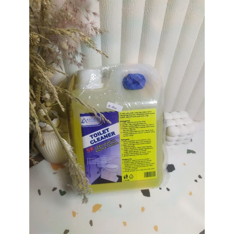 Jual Toilet Cleaner 1 liter (Autoox cleaner + MG cleaner) | Shopee ...
