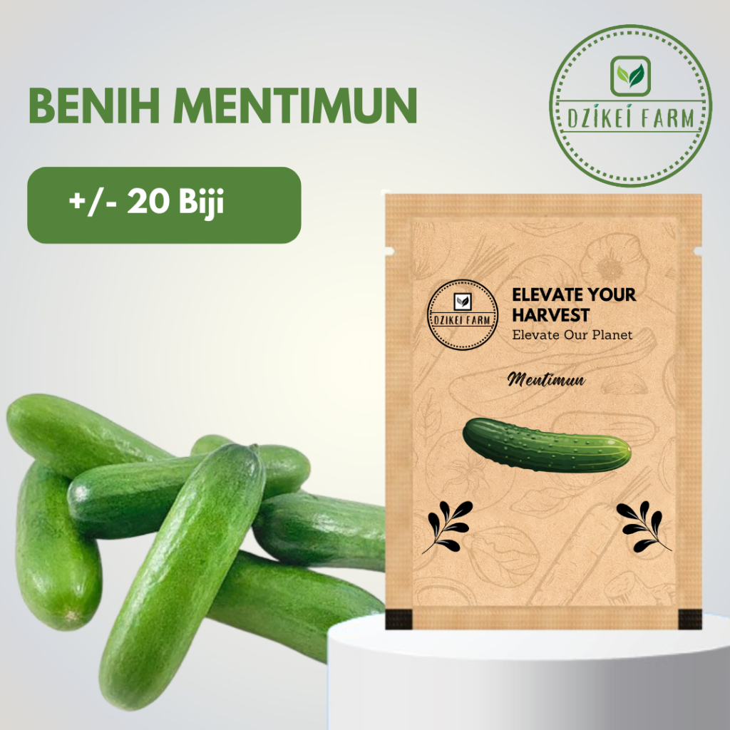 Benih Seribuan Bibit Sayuran Mentimun Lalap f1 +/- 20 Biji