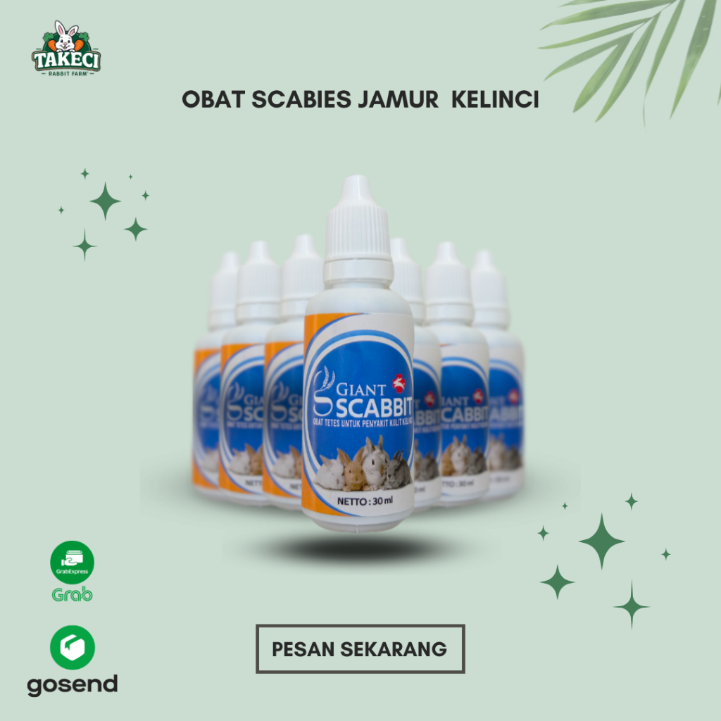 Jual Obat Scabies Jamur Kelinci - Giant Scabbit | Shopee Indonesia