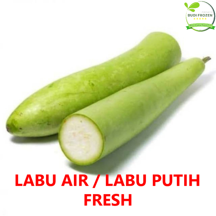 Jual LABU AIR / LABU PUTIH FRESH HARIAN PASAR | Shopee Indonesia