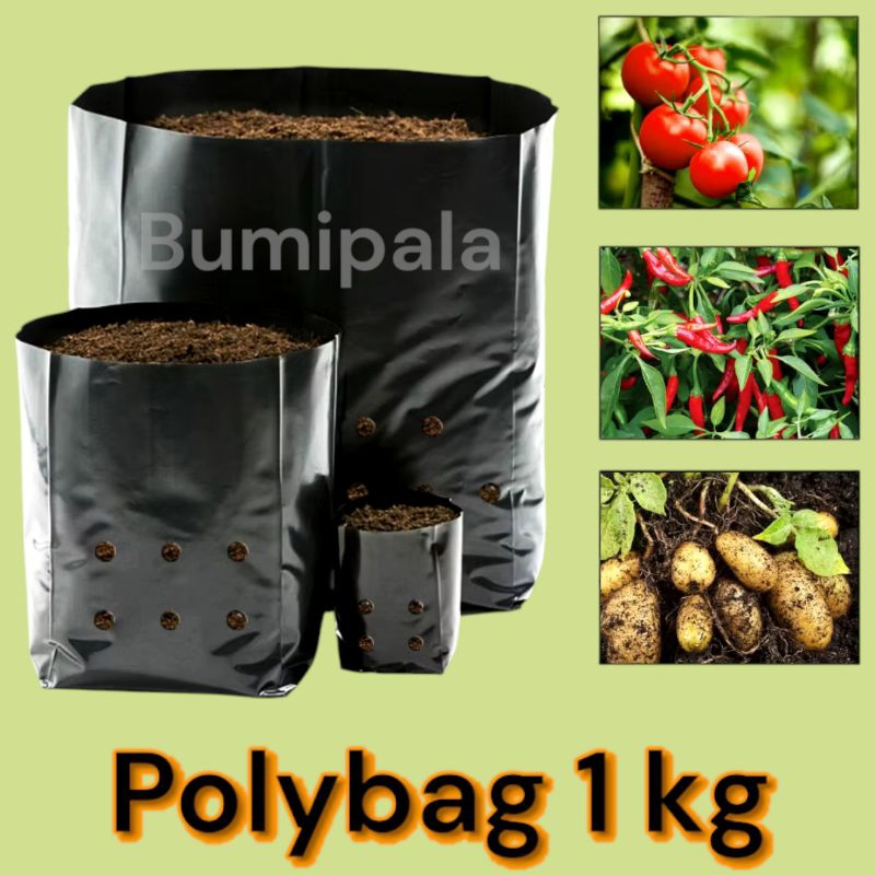 Jual polybag polybek polibek 1 kg (semua ukuran) | Shopee Indonesia