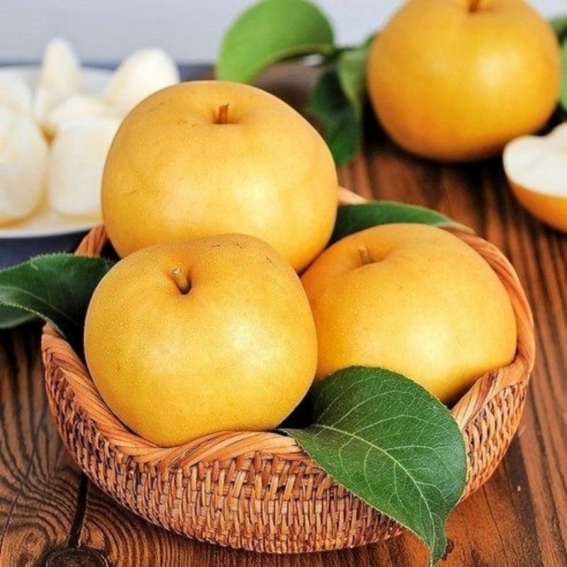 Jual PEAR SINGO SUPER PER BUAH | Shopee Indonesia