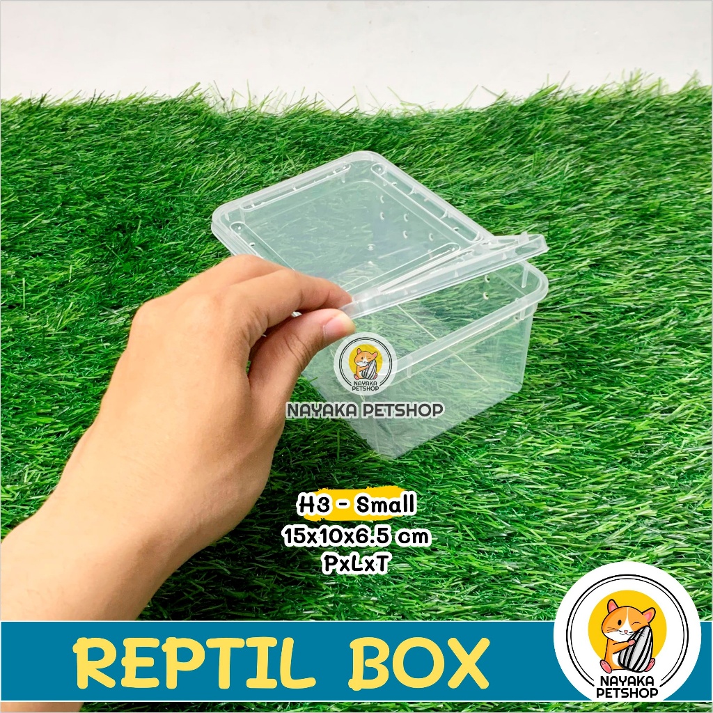 Jual Reptil Box H3 Small Kandang Kura Kura Brazil Sarang Hewan Wadah ...