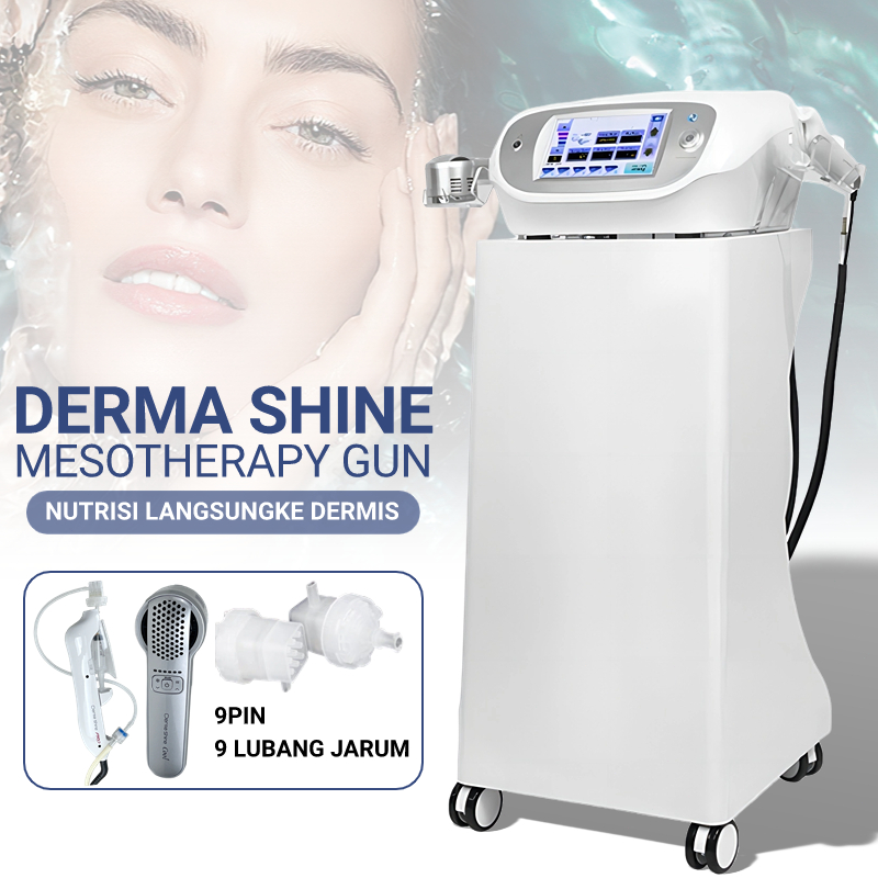 Jual Korea Dermashine pro alat Portable 2 in 1 9pin derma messo gun ...