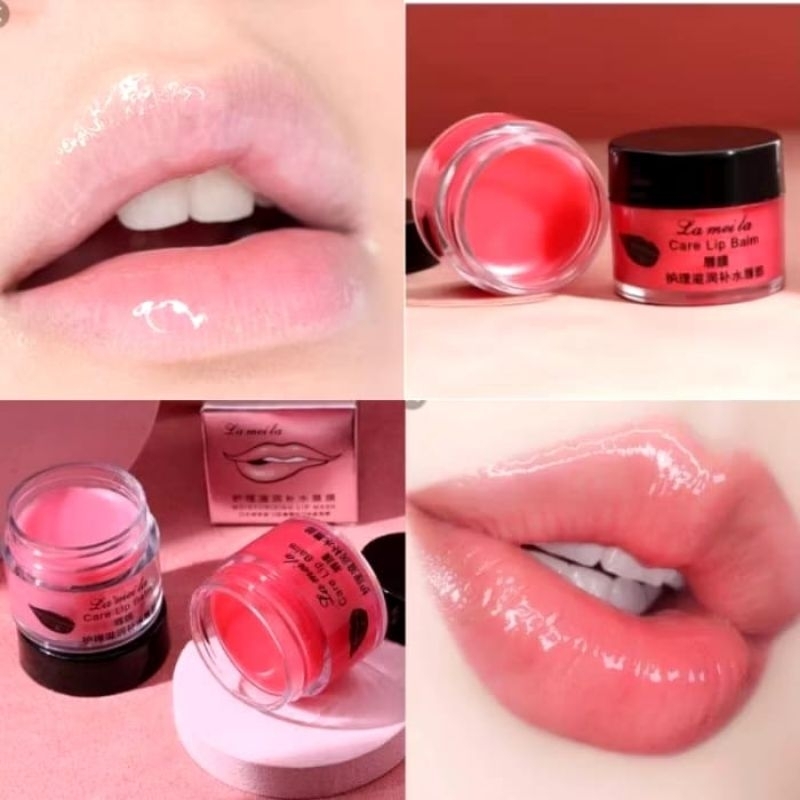 6er Set Blumen Lip Gloss Roll-On – Mit Echten Blüten, Pflegend & Langanhaltend Für Weiche Lippen